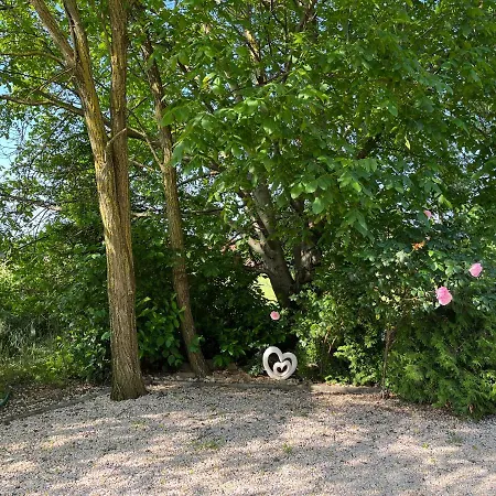 Jazmin Pogany