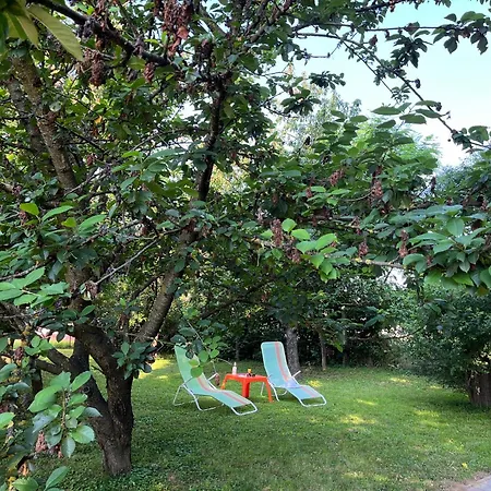 Jazmin Guest house Pogany